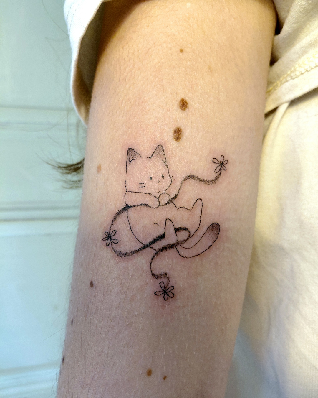 tatouage gibli rennes